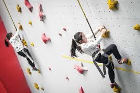 PUBG全球电竞发展趋势